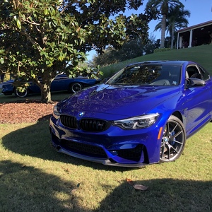 Fundraising Page: David Whelan